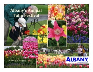 Albany’sAnnual
  TulipFestival




In Washington Park
                     www.albany.org
 