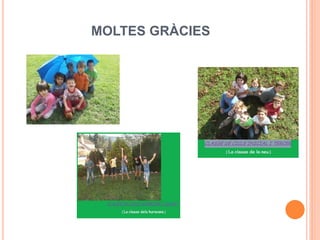 MOLTES GRÀCIES
 