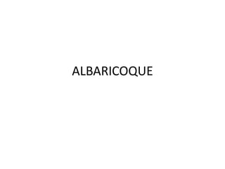 ALBARICOQUE
 