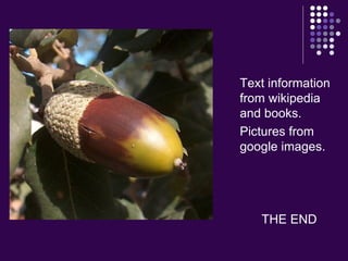 Text information from wikipedia and books. Pictures from google images. THE END