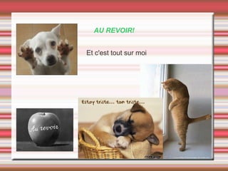 AU REVOIR!
Et c'est tout sur moi
 