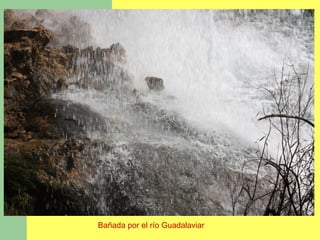 Bañada por el río Guadalaviar
 