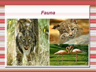 Fauna

12
10
8

Columna 1
Columna 2
Columna 3

6
4
2
0
Fila 1

Fila 2

Fila 3

Fila 4

 