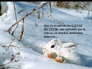 Que yo no pierda las  GANAS DE VIVIR , aún sabiendo que la vida es, en muchos momentos, dolorosa... 