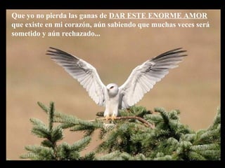 Que yo no pierda las ganas de DAR ESTE ENORME AMOR
que existe en mi corazón, aún sabiendo que muchas veces será
sometido y aún rechazado...
 