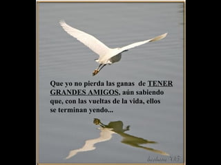 Que yo no pierda las ganas de TENER
GRANDES AMIGOS, aún sabiendo
que, con las vueltas de la vida, ellos
se terminan yendo...
 