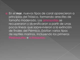 

En el mar, nuevos tipos de coral aparecieron a
principios del Triásico, formando arrecifes de
tamaño moderado. Los
se
recuperaron y diversificaron a partir de unas
pocas líneas que sobrevivieron a la extinción
de finales del Pérmico. Existían varios tipos
de reptiles marinos, incluyendo los primeros
e

 