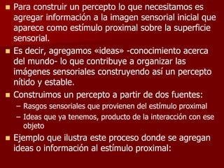  Para construir un percepto lo que necesitamos es
agregar información a la imagen sensorial inicial que
aparece como estímulo proximal sobre la superficie
sensorial.
 Es decir, agregamos «ideas» -conocimiento acerca
del mundo- lo que contribuye a organizar las
imágenes sensoriales construyendo así un percepto
nítido y estable.
 Construimos un percepto a partir de dos fuentes:
– Rasgos sensoriales que provienen del estímulo proximal
– Ideas que ya tenemos, producto de la interacción con ese
objeto
 Ejemplo que ilustra este proceso donde se agregan
ideas o información al estímulo proximal:
 
