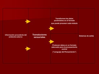 Información procedente del
ambiente externo
Transductores
sensoriales
Transforman los datos
poniéndolos en el formato
que puede procesar cada módulo
Sistemas de salida
Producen datos en un formato
adecuado para el procesamiento
central
(“Lenguaje del Pensamiento”)
 
