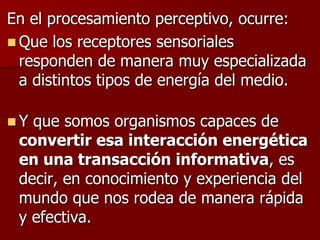 En el procesamiento perceptivo, ocurre:
 Que los receptores sensoriales
responden de manera muy especializada
a distintos tipos de energía del medio.
 Y que somos organismos capaces de
convertir esa interacción energética
en una transacción informativa, es
decir, en conocimiento y experiencia del
mundo que nos rodea de manera rápida
y efectiva.
 