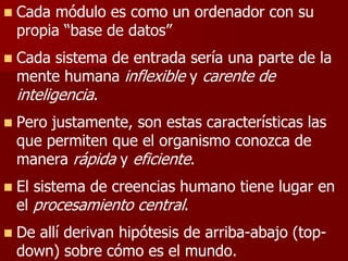  Cada módulo es como un ordenador con su
propia “base de datos”
 Cada sistema de entrada sería una parte de la
mente humana inflexible y carente de
inteligencia.
 Pero justamente, son estas características las
que permiten que el organismo conozca de
manera rápida y eficiente.
 El sistema de creencias humano tiene lugar en
el procesamiento central.
 De allí derivan hipótesis de arriba-abajo (top-
down) sobre cómo es el mundo.
 