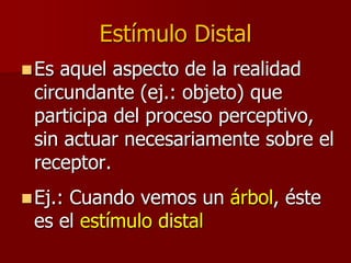 Estímulo Distal
Es aquel aspecto de la realidad
circundante (ej.: objeto) que
participa del proceso perceptivo,
sin actuar necesariamente sobre el
receptor.
Ej.: Cuando vemos un árbol, éste
es el estímulo distal
 