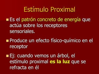 Estímulo Proximal
 Es el patrón concreto de energía que
actúa sobre los receptores
sensoriales.
 Produce un efecto físico-químico en el
receptor
 Ej: cuando vemos un árbol, el
estímulo proximal es la luz que se
refracta en él
 