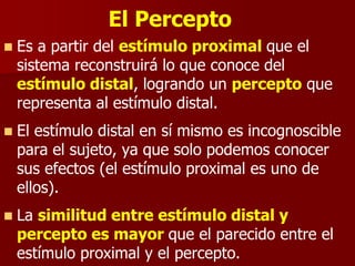  Es a partir del estímulo proximal que el
sistema reconstruirá lo que conoce del
estímulo distal, logrando un percepto que
representa al estímulo distal.
 El estímulo distal en sí mismo es incognoscible
para el sujeto, ya que solo podemos conocer
sus efectos (el estímulo proximal es uno de
ellos).
 La similitud entre estímulo distal y
percepto es mayor que el parecido entre el
estímulo proximal y el percepto.
El Percepto
 