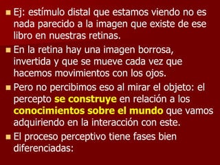 Ej: estímulo distal que estamos viendo no es
nada parecido a la imagen que existe de ese
libro en nuestras retinas.
 En la retina hay una imagen borrosa,
invertida y que se mueve cada vez que
hacemos movimientos con los ojos.
 Pero no percibimos eso al mirar el objeto: el
percepto se construye en relación a los
conocimientos sobre el mundo que vamos
adquiriendo en la interacción con este.
 El proceso perceptivo tiene fases bien
diferenciadas:
 