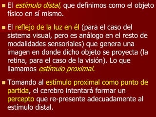  El estímulo distal, que definimos como el objeto
físico en sí mismo.
 El reflejo de la luz en él (para el caso del
sistema visual, pero es análogo en el resto de
modalidades sensoriales) que genera una
imagen en donde dicho objeto se proyecta (la
retina, para el caso de la visión). Lo que
llamamos estímulo proximal.
 Tomando al estímulo proximal como punto de
partida, el cerebro intentará formar un
percepto que re-presente adecuadamente al
estímulo distal.
 