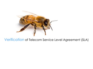 Verification  of Telecom Service Level Agreement (SLA) 