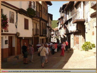 Mogarraz es un municipio de la comarca de la Sierra de Francia-Quilamas en la provincia de Salamanca 
 