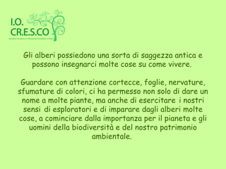 Gli alberi possiedono una sorta di saggezza antica e
    possono insegnarci molte cose su come vivere.

 Guardare con attenzione cortecce, foglie, nervature,
sfumature di colori, ci ha permesso non solo di dare un
 nome a molte piante, ma anche di esercitare i nostri
 sensi di esploratori e di imparare dagli alberi molte
cose, a cominciare dalla importanza per il pianeta e gli
   uomini della biodiversità e del nostro patrimonio
                      ambientale.
 