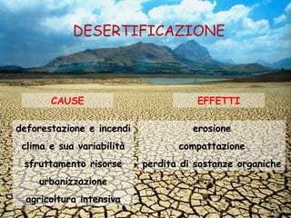 DESERTIFICAZIONE



       CAUSE                          EFFETTI

deforestazione e incendi             erosione
 clima e sua variabilità          compattazione
 sfruttamento risorse      perdita di sostanze organiche
    urbanizzazione
  agricoltura intensiva
 