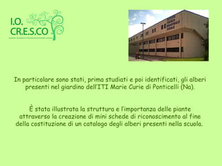 In particolare sono stati, prima studiati e poi identificati, gli alberi
    presenti nel giardino dell’ITI Marie Curie di Ponticelli (Na).


     È stata illustrata la struttura e l’importanza delle piante
 attraverso la creazione di mini schede di riconoscimento al fine
della costituzione di un catalogo degli alberi presenti nella scuola.
 