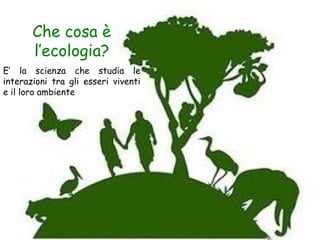 Che cosa è
       l’ecologia?
E’ la scienza che studia le
interazioni tra gli esseri viventi
e il loro ambiente
 