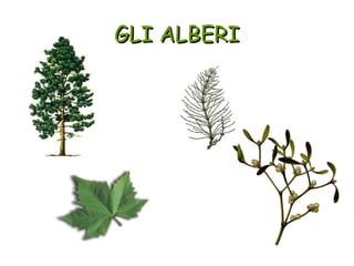 GLI ALBERI
 
