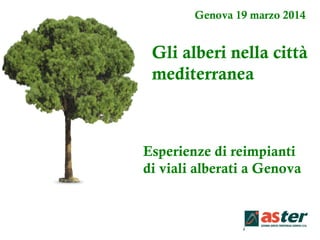 Genova 19 marzo 2014
Gli alberi nella città
mediterranea
Esperienze di reimpianti
di viali alberati a Genova
 