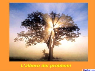 L’albero dei problemi  