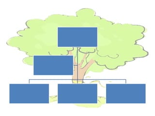 Albero genealogico modello