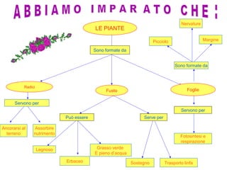 Nervature
                                           LE PIANTE

                                                                        Picciolo                  Margine

                                           Sono formate da


                                                                                   Sono formate da



           Radici
                                                Fusto                                    Foglie


      Servono per
                                                                                      Servono per
                              Può essere                          Serve per

Ancorarsi al    Assorbire
  terreno       nutrimento
                                                                                      Fotosintesi e
                                                                                      respirazione
                    Legnoso                 Grasso verde
                                           E pieno d’acqua
                              Erbaceo                        Sostegno         Trasporto linfa
 