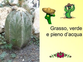 Grasso, verde
e pieno d’acqua
 