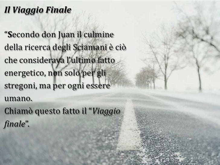 Le Radici In Cielo Un Libro Di Sole Citazioni