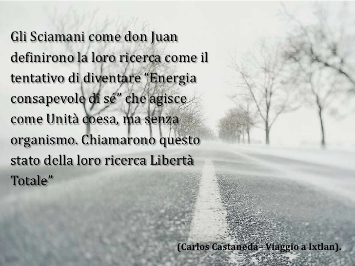 Le Radici In Cielo Un Libro Di Sole Citazioni