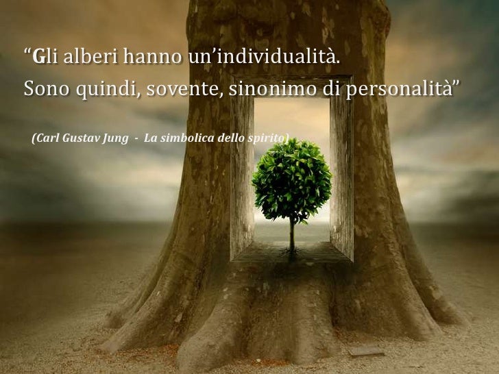 Le Radici In Cielo Un Libro Di Sole Citazioni