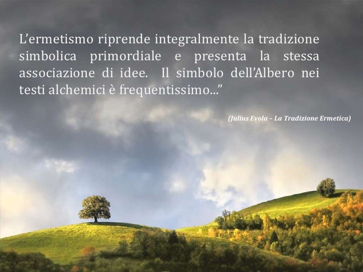 Le Radici In Cielo Un Libro Di Sole Citazioni