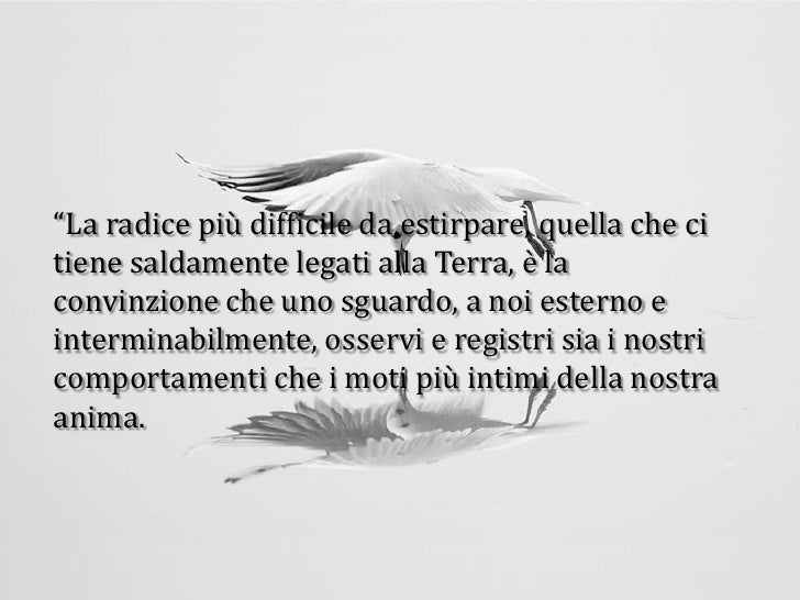Le Radici In Cielo Un Libro Di Sole Citazioni