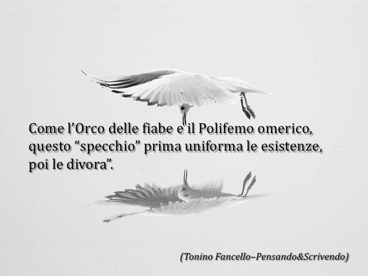 Le Radici In Cielo Un Libro Di Sole Citazioni