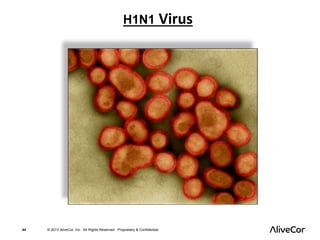 H1N1 Virus 
44 © 2013 AliveCor, Inc. All Rights Reserved. Proprietary & Confidential. 
 