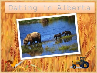 Dating in Alberta

 
