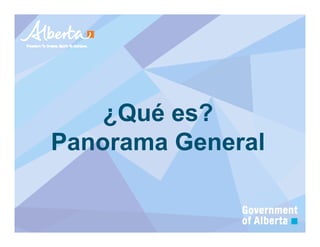 ¿Qué es?
Panorama General
 