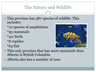 The Nature and Wildlife
 This province has 587 species of wildlife. This

includes:
*10 species of amphibians
*93 mammals
*411 birds
*8 reptiles
*65 fish
 This only province that has more mammals than
Alberta is British Columbia
 Alberta also has a number of zoos

 