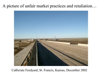 A picture of unfair market practices and retaliation…




     Callicrate Feedyard, St. Francis, Kansas, December 2002
 