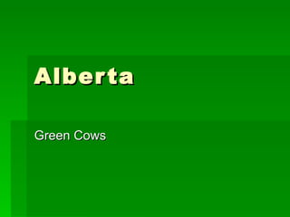Alberta Green Cows  