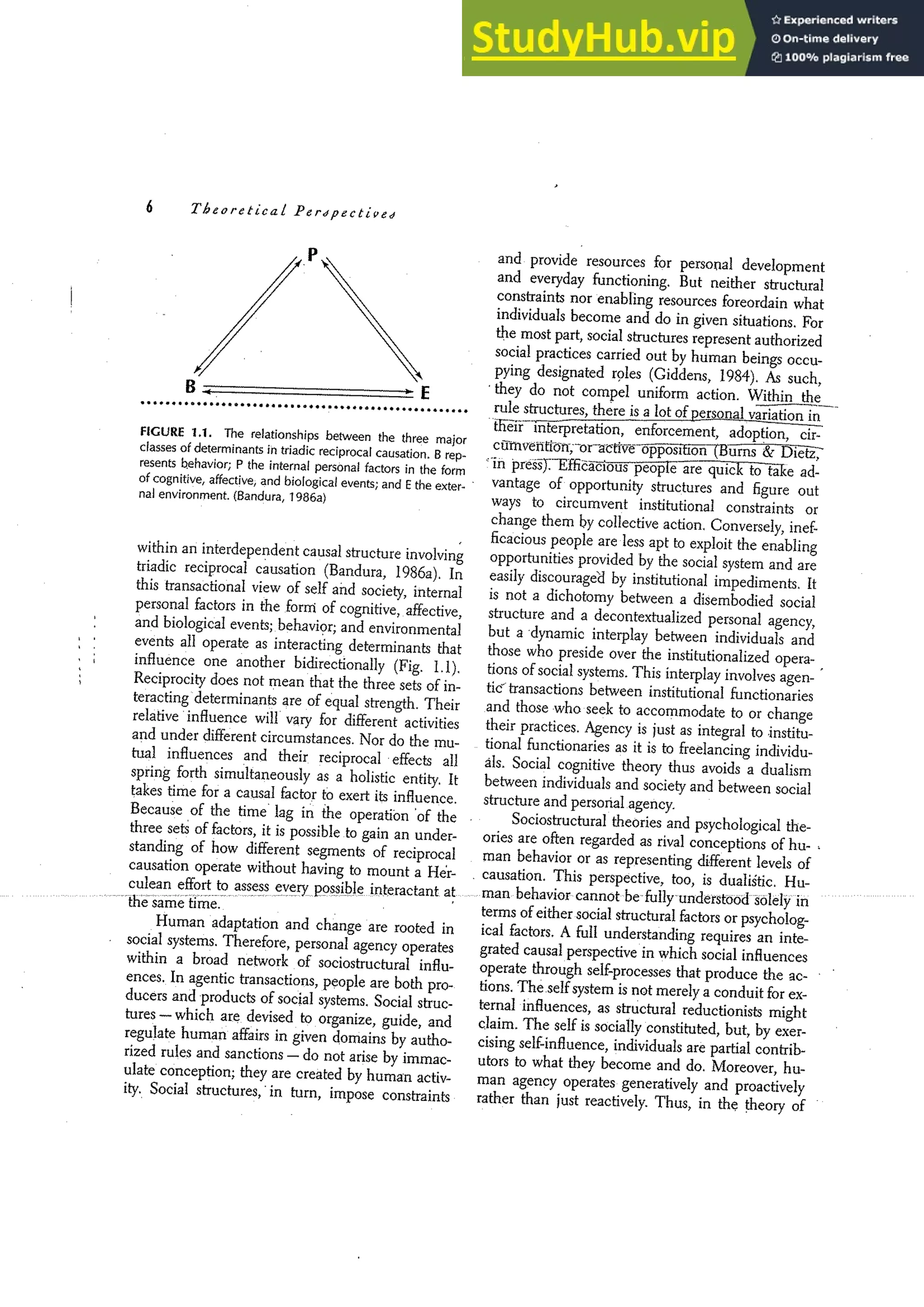 SELF EFFICACY THE EXERCISE OF CONTROL visual data 7