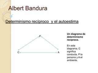 Albert Bandura
Determinismo recíproco y el autoestima
Un diagrama de
determinismo
reciproco.

P

C

A

En este
diagrama, C
significa
conducta, P la
persona y A el
ambiente.

 