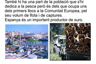 També hi ha una part de la població que s'hi dedica a la pesca però és dels que ocupa uns dels primers llocs a la Comunitat Europea, pel seu volum de flota i de captures. Espanya és un important productor de suro.  