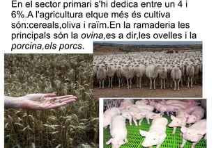 En el sector primari s'hi dedica entre un 4 i 6%.A l'agricultura elque més és cultiva són:cereals,oliva i raïm.En la ramaderia les principals són la  ovina, es a dir,les ovelles  i la  porcina,els porcs . 