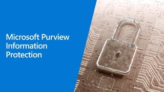 Microsoft Purview
Information
Protection
 