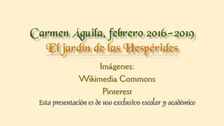 Imágenes:
Wikimedia Commons
Pinterest
 
